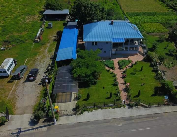 Casa Cu Trandafiri Murighiol Exteriör bild
