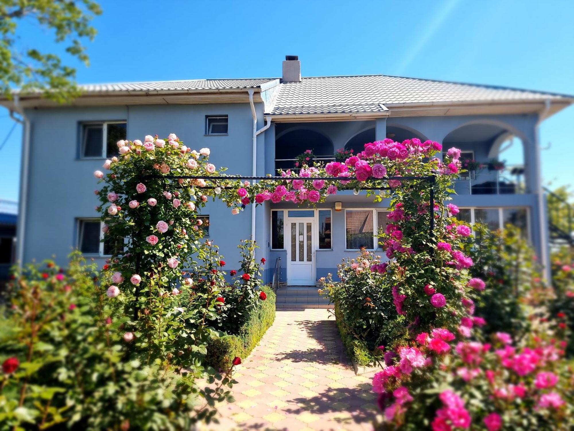 Casa Cu Trandafiri Murighiol Exteriör bild