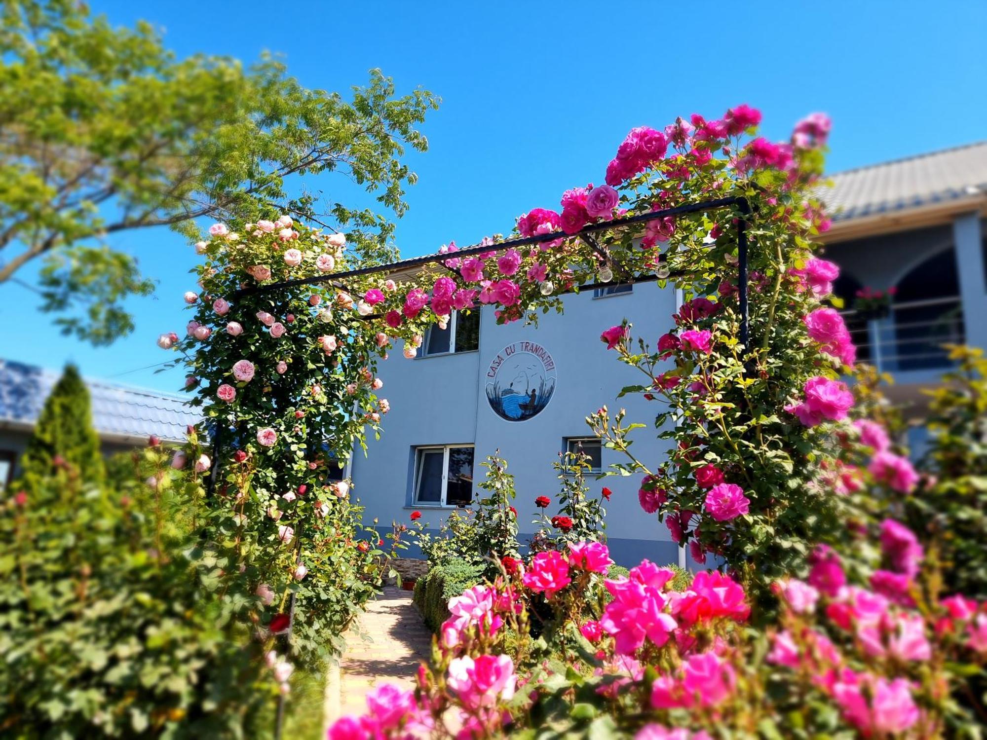 Casa Cu Trandafiri Murighiol Exteriör bild