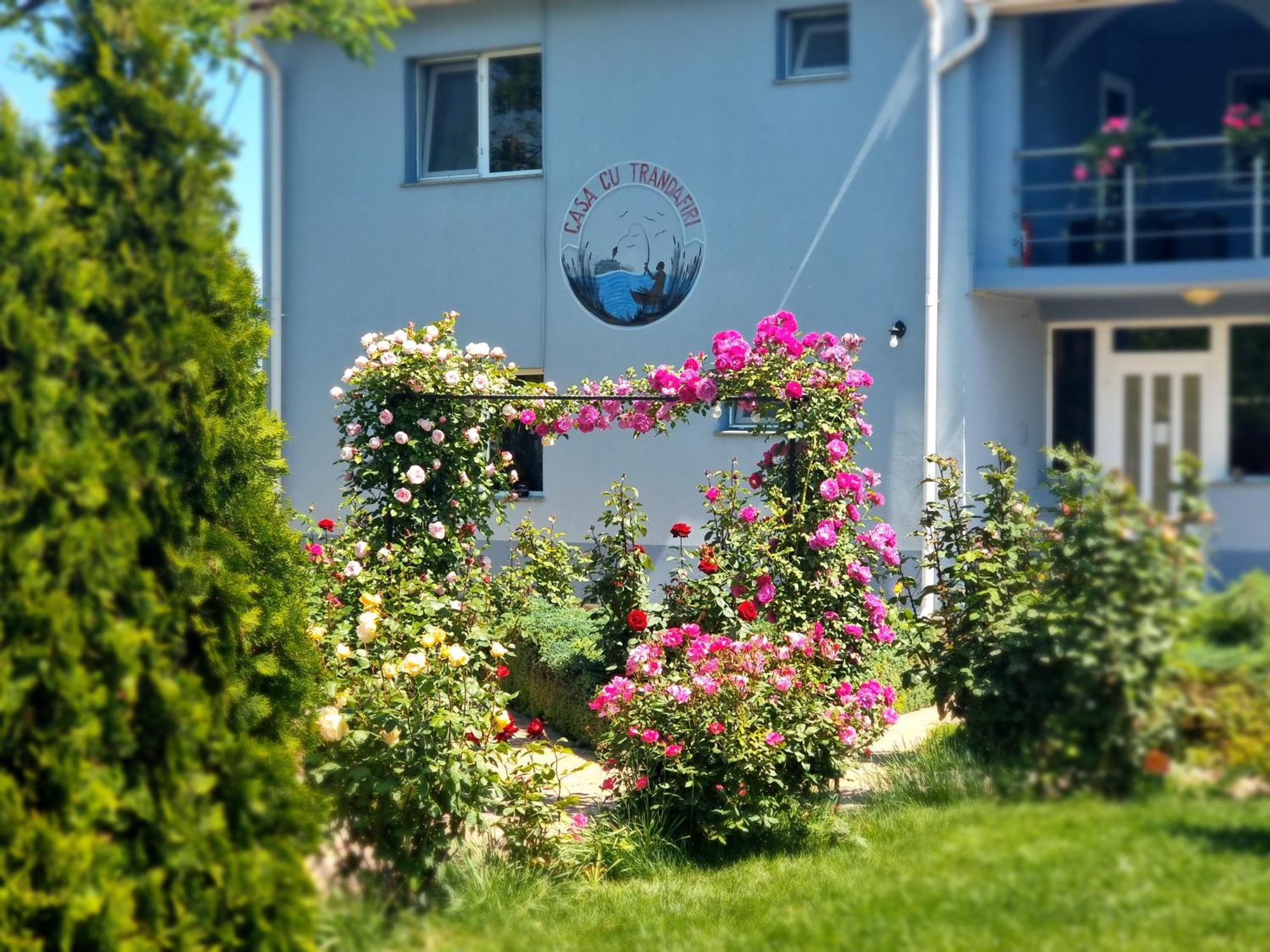 Casa Cu Trandafiri Murighiol Exteriör bild